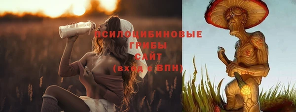 амф Абдулино