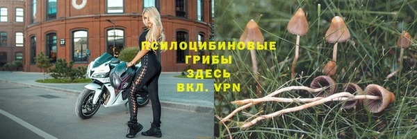 амф Абдулино